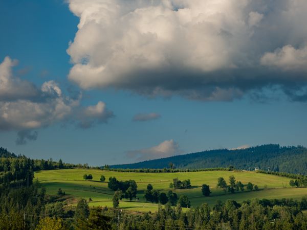 Tohle je tvůj plán na rok 2026! ?️?