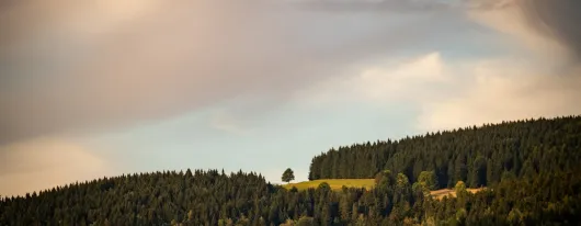 Enduro Race Kraličák - foto Jára Sijka 